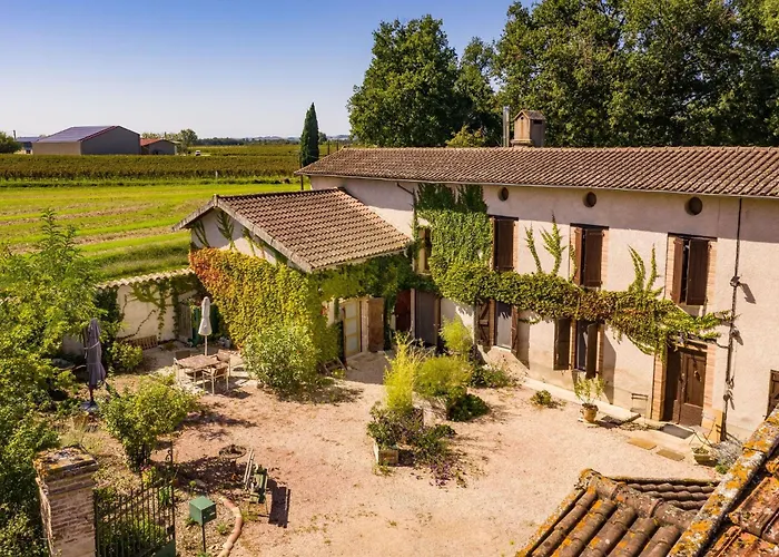 Duplex Des Vignes - Nature - Дом отдыха